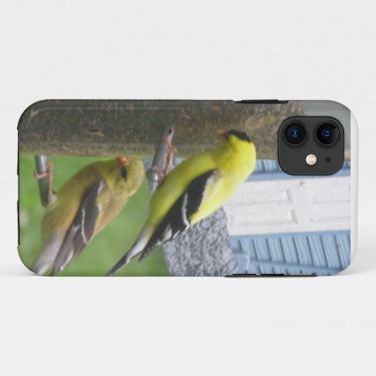 Goldfinches iPhone Case (Rückseite (Horizontal))