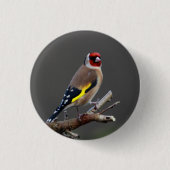 Goldfinchvogel Button (Vorderseite)