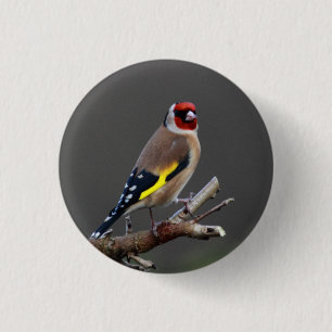 Goldfinchvogel Button