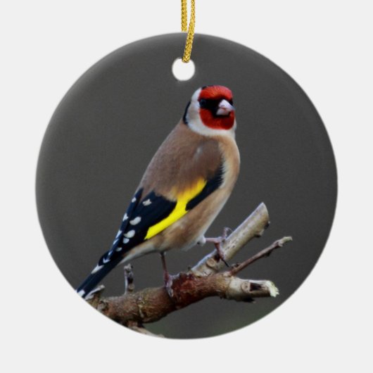 Goldfinchvogel Keramik Ornament (Vorne)