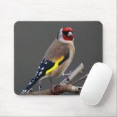 Goldfinchvogel Mousepad (Mit Mouse)