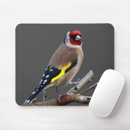 Goldfinchvogel Mousepad (Mit Mouse)