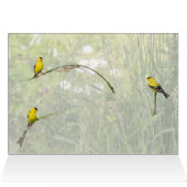 Goldfinken und wild lebende Blume (Innenansicht Horizontal (Oben))