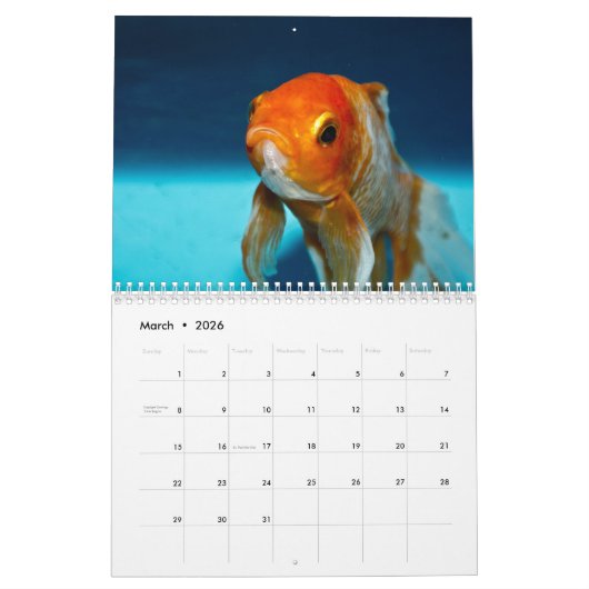 Goldfisch 2019 kalender (Mär 2026)