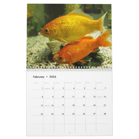Goldfisch 2024 kalender (Feb 2026)