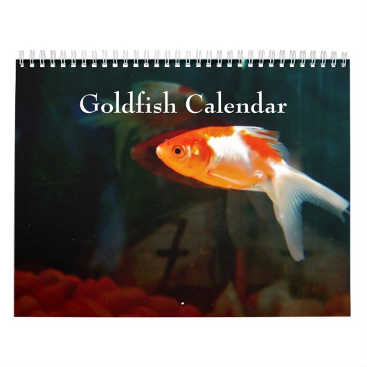 Goldfisch 2024 kalender (Titelbild)