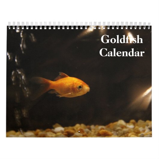 Goldfisch 2025 kalender (Titelbild)