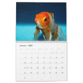 Goldfisch 2025 kalender (Jan 2027)