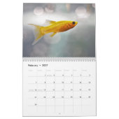 Goldfisch 2025 kalender (Feb 2027)