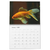 Goldfisch 2025 kalender (Jan 2027)