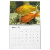 Goldfisch 2025 kalender (Feb 2027)