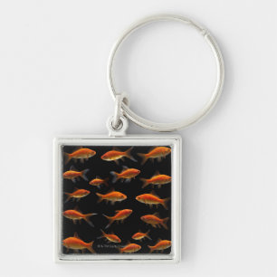 Goldfisch 2 schlüsselanhänger