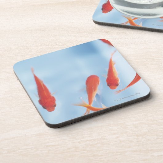 Goldfisch 2 untersetzer (Linke Seite)