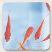 Goldfisch 2 untersetzer (Vorderseite)