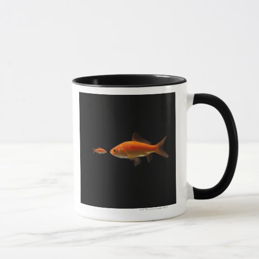 Goldfisch 4 tasse (Rechts)