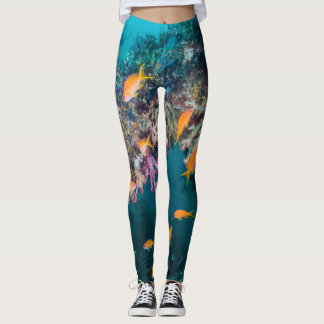 Goldfisch Anthias Leggings