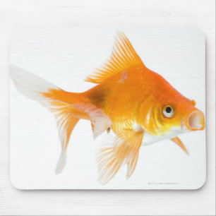 Goldfisch auf weißem Hintergrund Mousepad