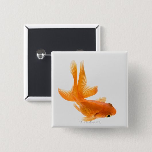 Goldfisch (Carassius auratus) 2 Button (Vorne & Hinten)