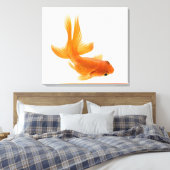 Goldfisch (Carassius auratus) 2 Leinwanddruck (Insitu (Schlafzimmer))