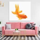 Goldfisch (Carassius auratus) 2 Leinwanddruck (Insitu (Wohnzimmer))