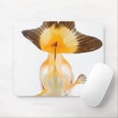 Goldfisch (Carassius auratus) 2 Mousepad (Mit Mouse)