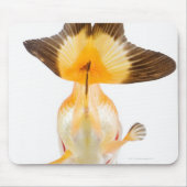 Goldfisch (Carassius auratus) 2 Mousepad (Vorne)