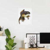 Goldfisch (Carassius auratus) 2 Poster (Heimbüro)