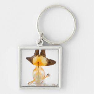 Goldfisch (Carassius auratus) 2 Schlüsselanhänger