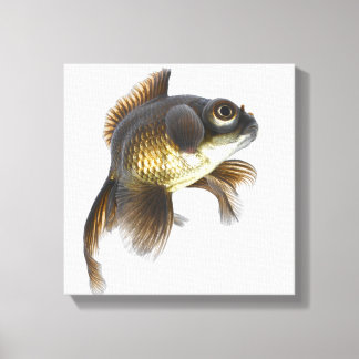 Goldfisch (Carassius auratus) Leinwanddruck