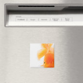 Goldfisch (Carassius auratus) Magnet (In Situ (Geschirrspüler))