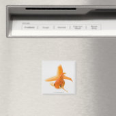 Goldfisch (Carassius auratus) Magnet (In Situ (Geschirrspüler))