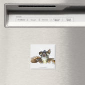 Goldfisch (Carassius auratus) Magnet (In Situ (Geschirrspüler))