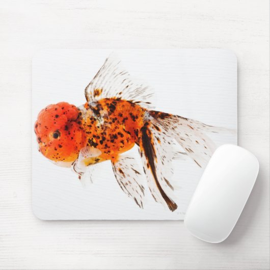 Goldfisch (Carassius auratus) Mousepad (Mit Mouse)