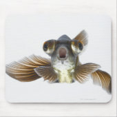 Goldfisch (Carassius auratus) Mousepad (Vorne)