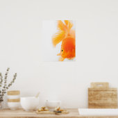 Goldfisch (Carassius auratus) Poster (Küche)