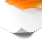 Goldfisch (Carassius auratus) Poster (Ecke)