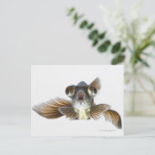 Goldfisch (Carassius auratus) Postkarte (Stehend Vorderseite)