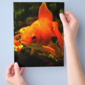 Goldfisch Flyer (Hand)