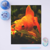 Goldfisch Flyer (Einzeln)