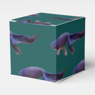 Goldfisch Geschenkschachtel