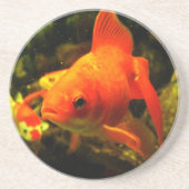 Goldfisch Getränkeuntersetzer (Vorne)