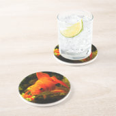 Goldfisch Getränkeuntersetzer (Seite)