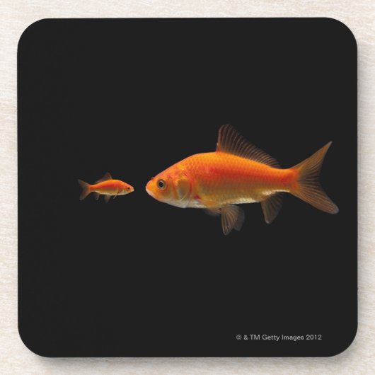 Goldfisch Getränkeuntersetzer (Vorderseite)
