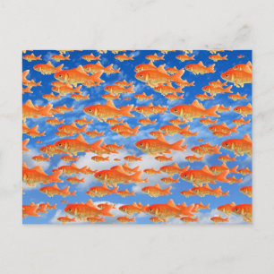 Goldfisch-Himmel Postkarte