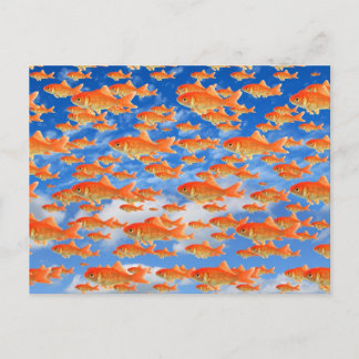 Goldfisch-Himmel Postkarte