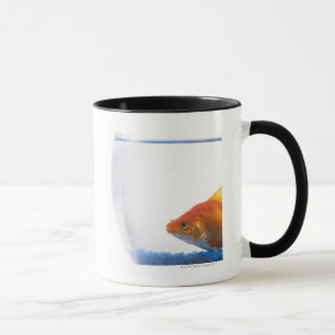 Goldfisch in der Schüssel auf weißem Hintergrund Tasse