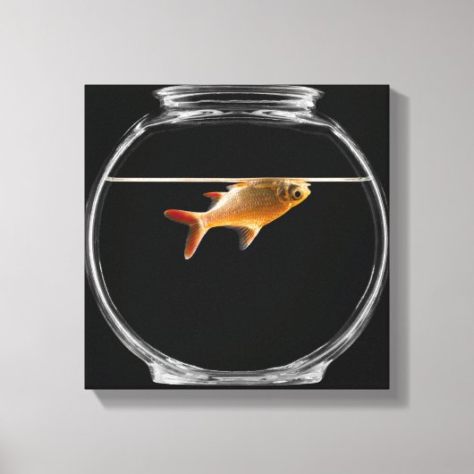 Goldfisch in Schüssel 2 Leinwanddruck (Vorderseite)