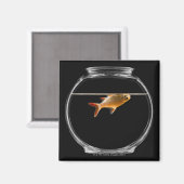 Goldfisch in Schüssel 2 Magnet (Vorderseite/Rückseite)