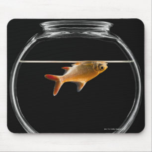 Goldfisch in Schüssel 2 Mousepad
