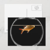 Goldfisch in Schüssel 2 Postkarte (Vorne/Hinten)